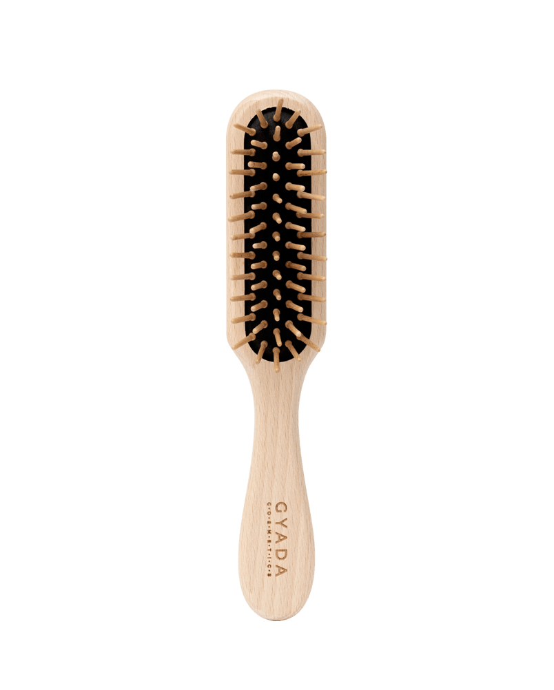 Spazzola Scioglinodi