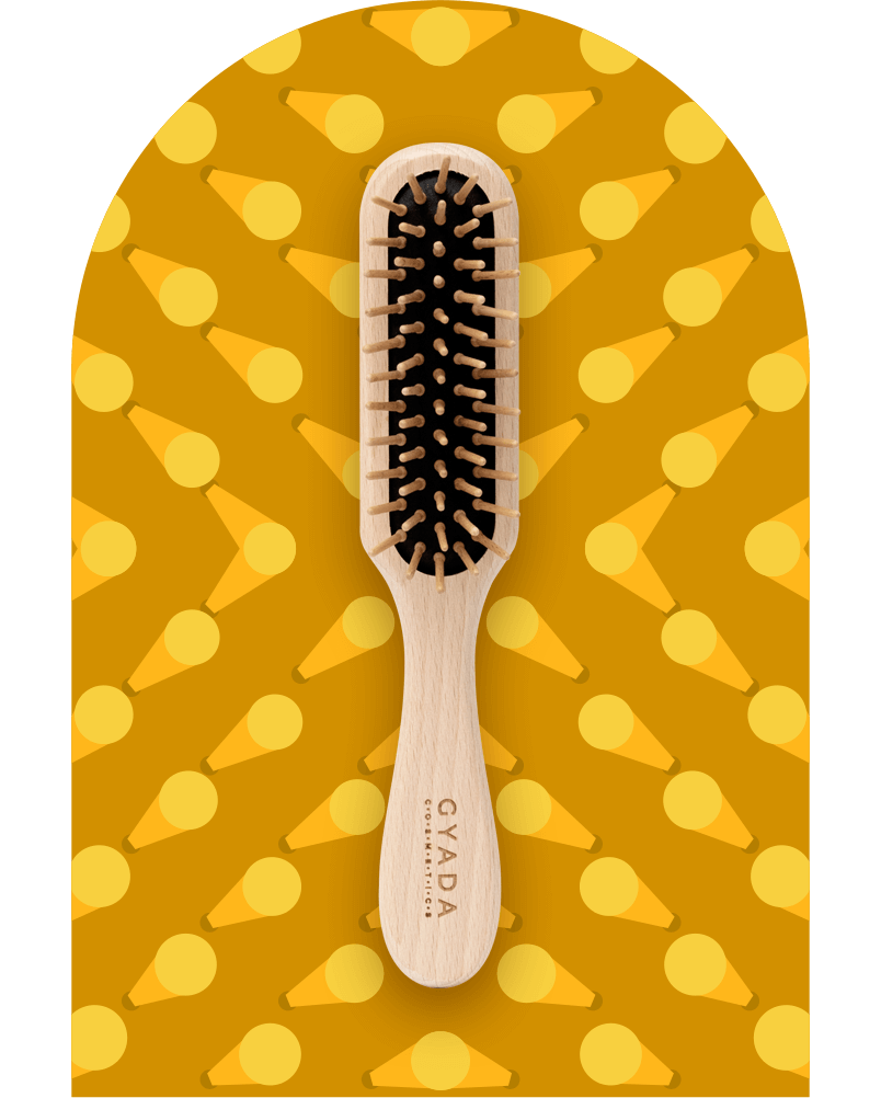 Spazzola Scioglinodi