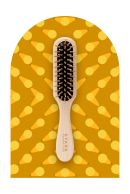 Spazzola Scioglinodi