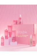 BOX SMOOTHING COLLECTION