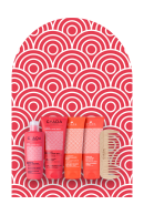 Bundle Washing Curls