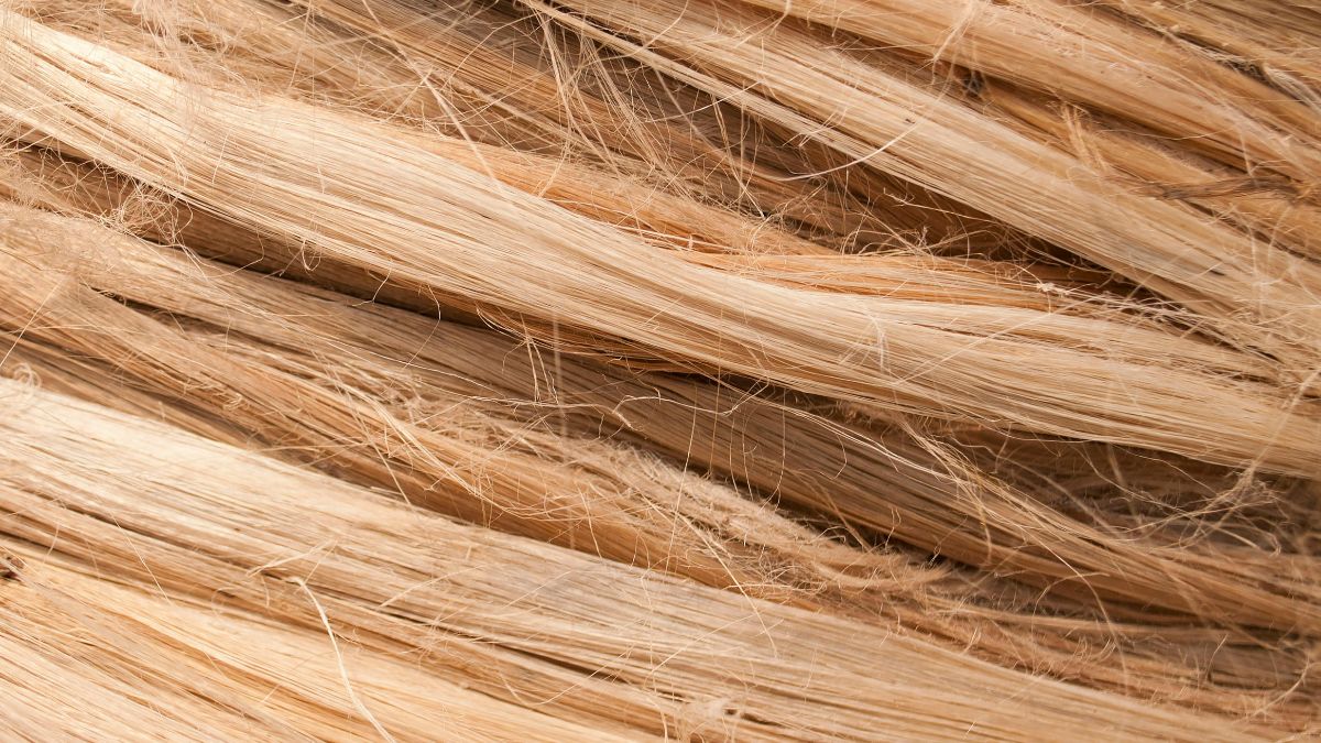 Capelli crespi: cause, rimedi e prodotti per domarli