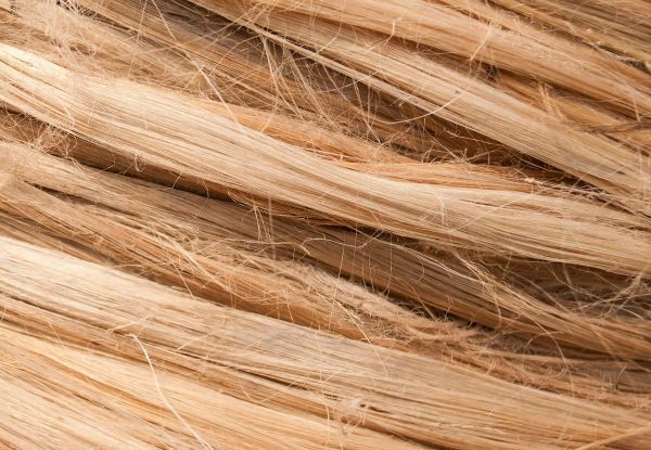 Capelli crespi: cause, rimedi e prodotti per domarli